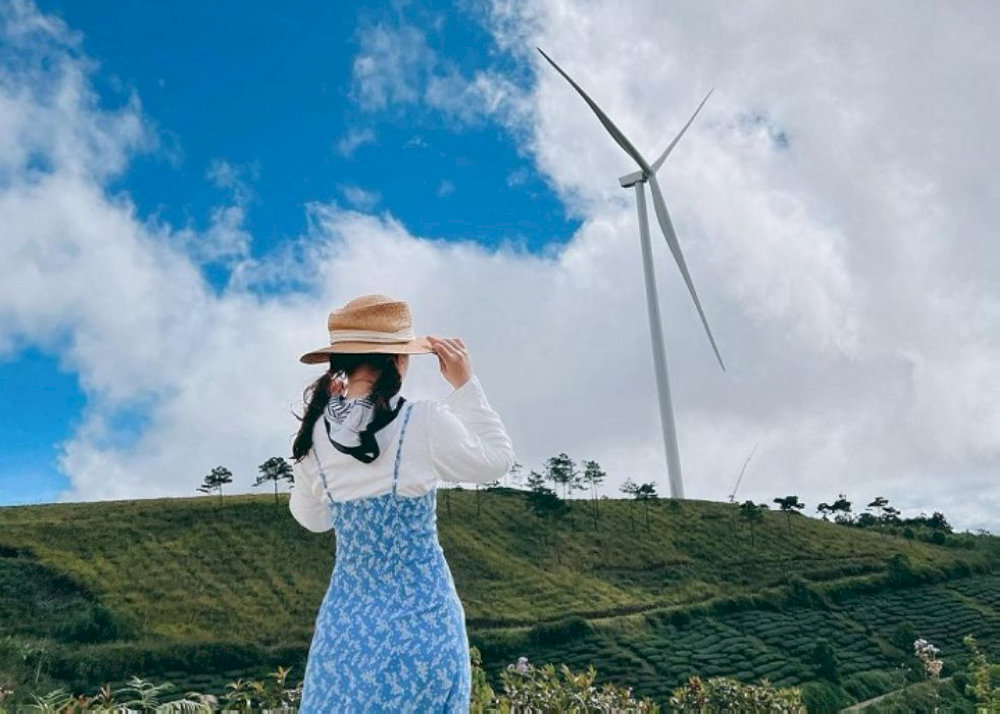 Không thể bỏ qua hoạt động check - in cùng những chiếc quạt gió